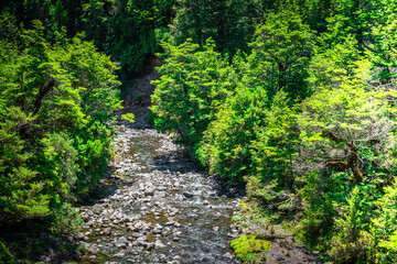 Shallow mountain stream amid lush greenary of the banks