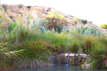 idyllic landscape with a river that falls into a small reservoir
