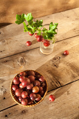 rustic environmentally friendly berry