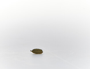 Cardamom shot on white background