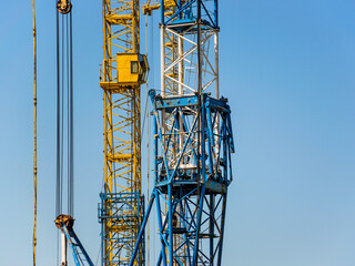 Cranes against  the  blue sky