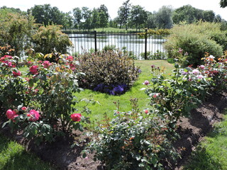 garden with flowers, Saint-Petersburg, Russia