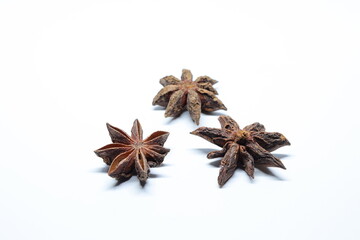 Parmotrema perlatum flowers isolated on white background