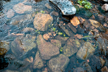 RiverRocks