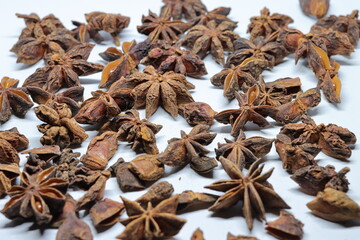 Parmotrema perlatum flowers isolated on white background