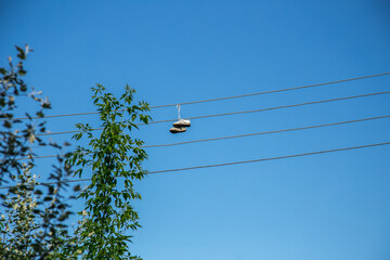 Boots on electric line wires and blue sky