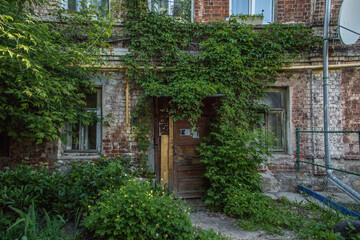 Fototapeta na wymiar Ivy entrance into a vintage brick house