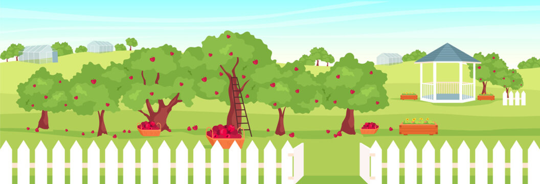 Apple Orchard Flat Color Vector Illustration