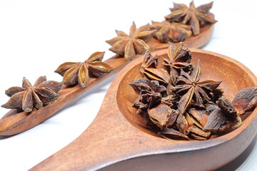 Parmotrema perlatum flowers isolated on white background