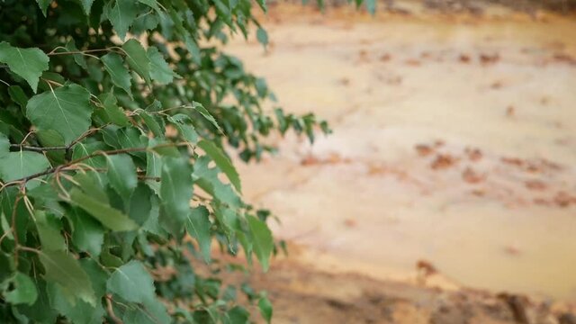 Environmental pollution.
Water and forest are polluted with harmful emissions from the factory. Water turned orange due to the drains of the perith metal.