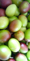 fresh green fruit 