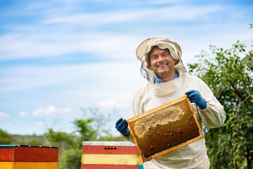 Beekeeper at apiary