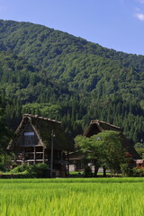 Fototapeta na wymiar 山間地帯の古い村の風景
