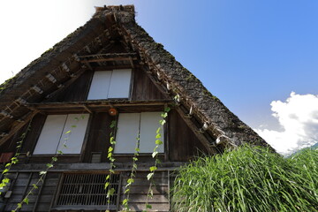 藁葺屋根の家