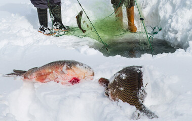 People catch fish from under the ice of the Cildir Lake in winter - Fishing is a popular activity among the local people - Kars,Turkey