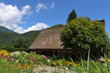 Fototapeta na wymiar 庭に花畑がある山間の古民家