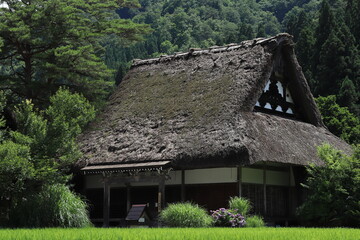Fototapeta na wymiar 水田地帯にある古いお寺