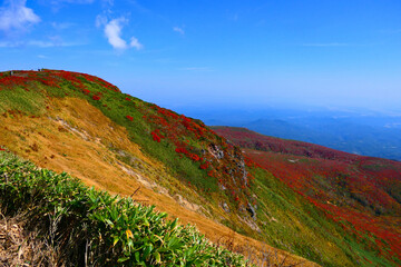 Fototapeta premium 栗駒国定公園、紅葉の栗駒山。栗原、宮城、日本。10月上旬。