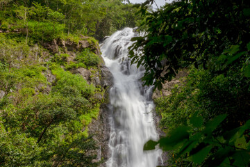 Obraz premium waterfall in the rainforest