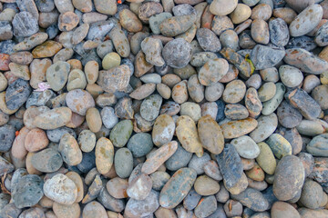 round circle shape of big sea stone laid on a pile of nature pebbles or a group of rocks. can use for background or texture