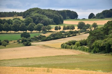 Fototapeta na wymiar Colorful landscape with fields and meadows in Eifel mountains, Germany