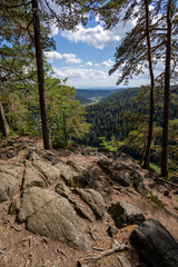 Schwarzwald bei Sankt Blasien