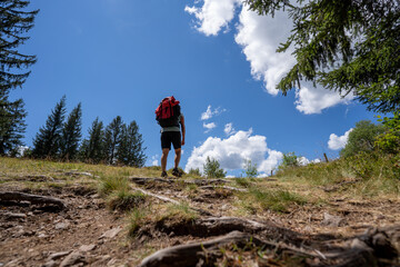 Schwarzwald bei Sankt Blasien