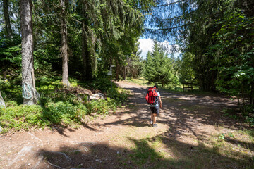 Schwarzwald bei Sankt Blasien