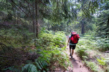 Schwarzwald bei Sankt Blasien