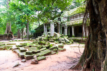 Ta Prohm temple in Siem Reap (Angkor temples)