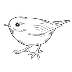 Hand drawn vector of ruby-crowned kinglet isolated on white background for coloring page. Black and white  stock illustration of bird for coloring book.