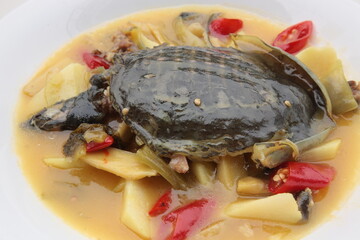 Close up of  Chinese Sichuan province style Cuisine Pickled vegetables stewed soft shelled turtle with yams