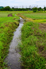 Obraz premium 田舎の小川