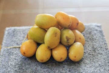 Date Palm laden with dates