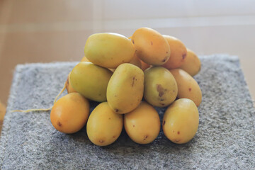 Date Palm laden with dates