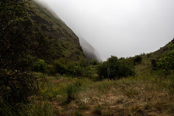 Green mountains in the clouds. Green Caucasus mountains in the clouds. Clouds descend in the...