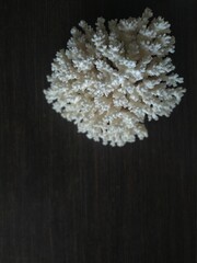 rice on black background