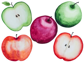 Bright picture with the image of painted fruits. Close-up, view from above, no people. Watercolor paint. Concept of delicious and healthy food