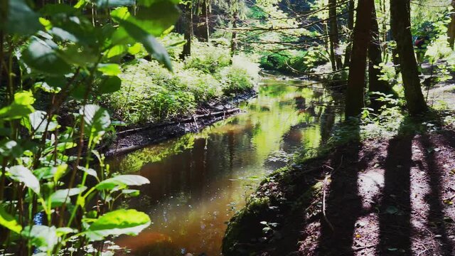 Wanderung durch "Die H&ouml;lle" H&ouml;llbachtal im Bayerischen Wald Niederbayern Deutschland