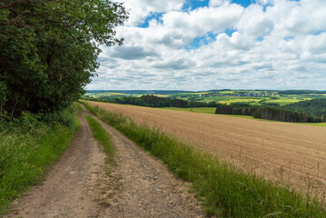 Fototapeta na wymiar Rural landscape with a road