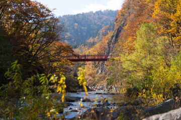 Fototapeta na wymiar 紅葉と二見吊橋（定山渓）