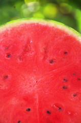 Close up view of delicious  watermelon with seeds