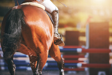 A rear view of a bay horse galloping across a sandy arena, about to jump over a high barrier. Equestrian competitions.