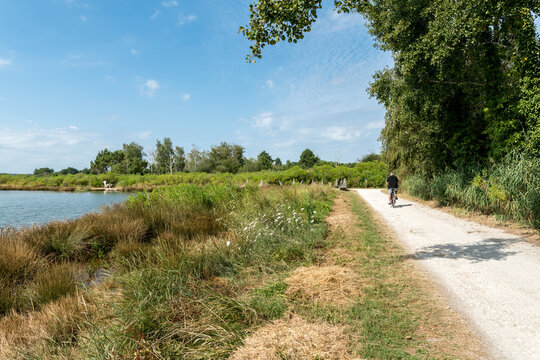 BASSIN D'ARCACHON (France), les prés salés de La Teste