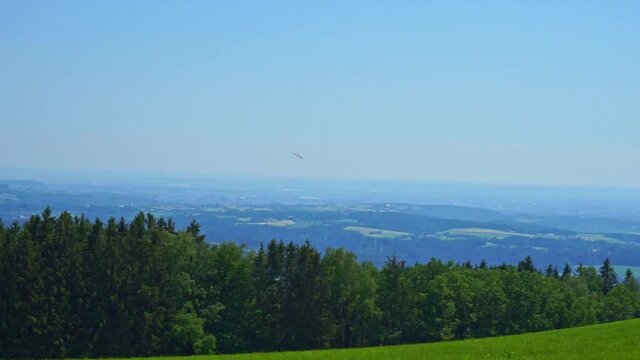Aussicht vom Gallner Gipfel in Richtung G&auml;uboden mit jagendem Greifvogel in Niederbayern Deutschland
