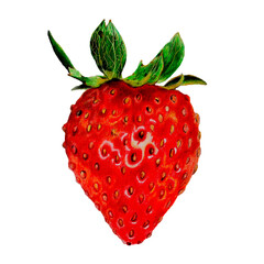 strawberry