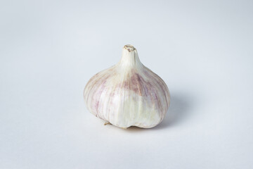 Garlic on a white background. One garlic in the middle of the frame. Agriculture concept