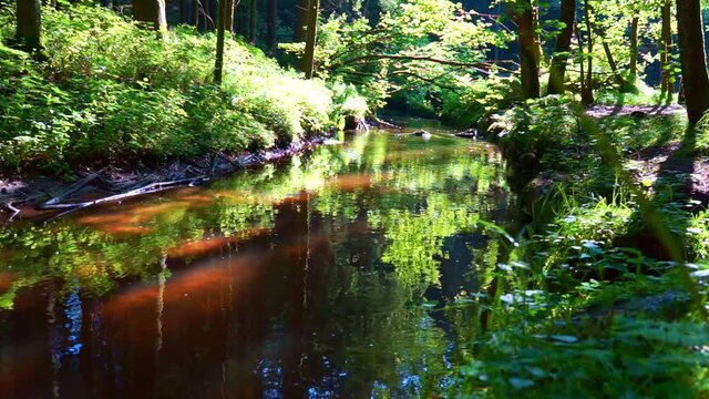 Wanderung durch "Die H&ouml;lle" H&ouml;llbachtal im Bayerischen Wald Niederbayern Deutschland
