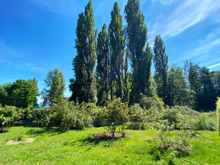 Landscape of The Flower Island Mainau on the Lake Constance or Landschaft der Blumeninsel im...