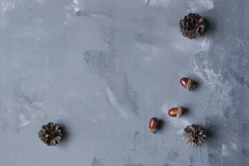 
fir cones on gray background